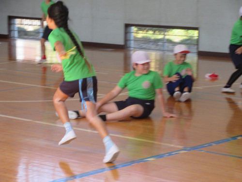 Img_1531 Img_1531